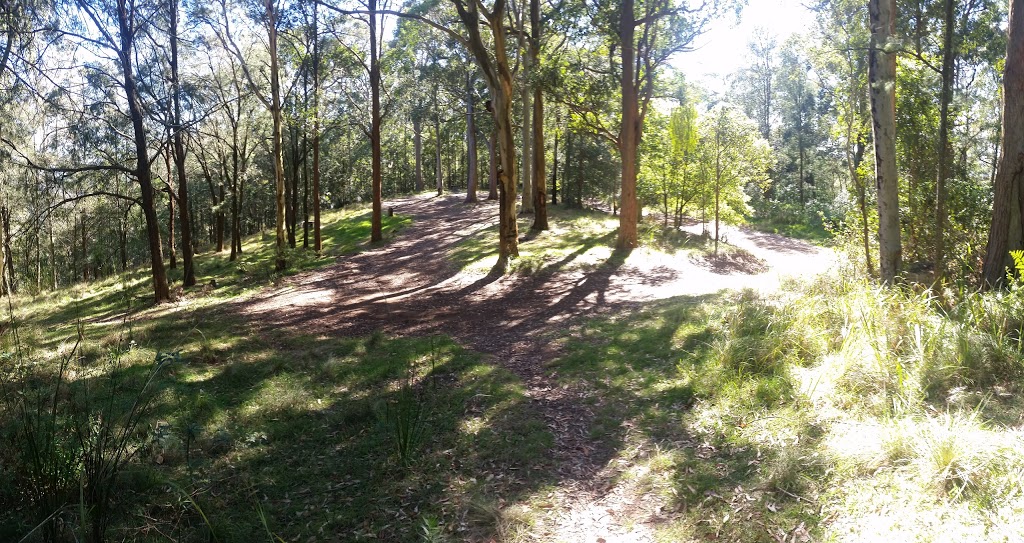 Heaton State Forest | Mount Vincent NSW 2323, Australia | Phone: 1300 655 687