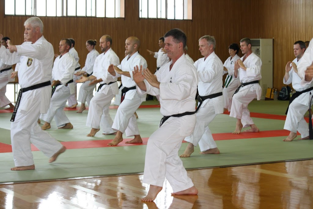 Karate Academy Elderslie | health | 170 Lodges Rd, Elderslie NSW 2570, Australia | 0412611072 OR +61 412 611 072