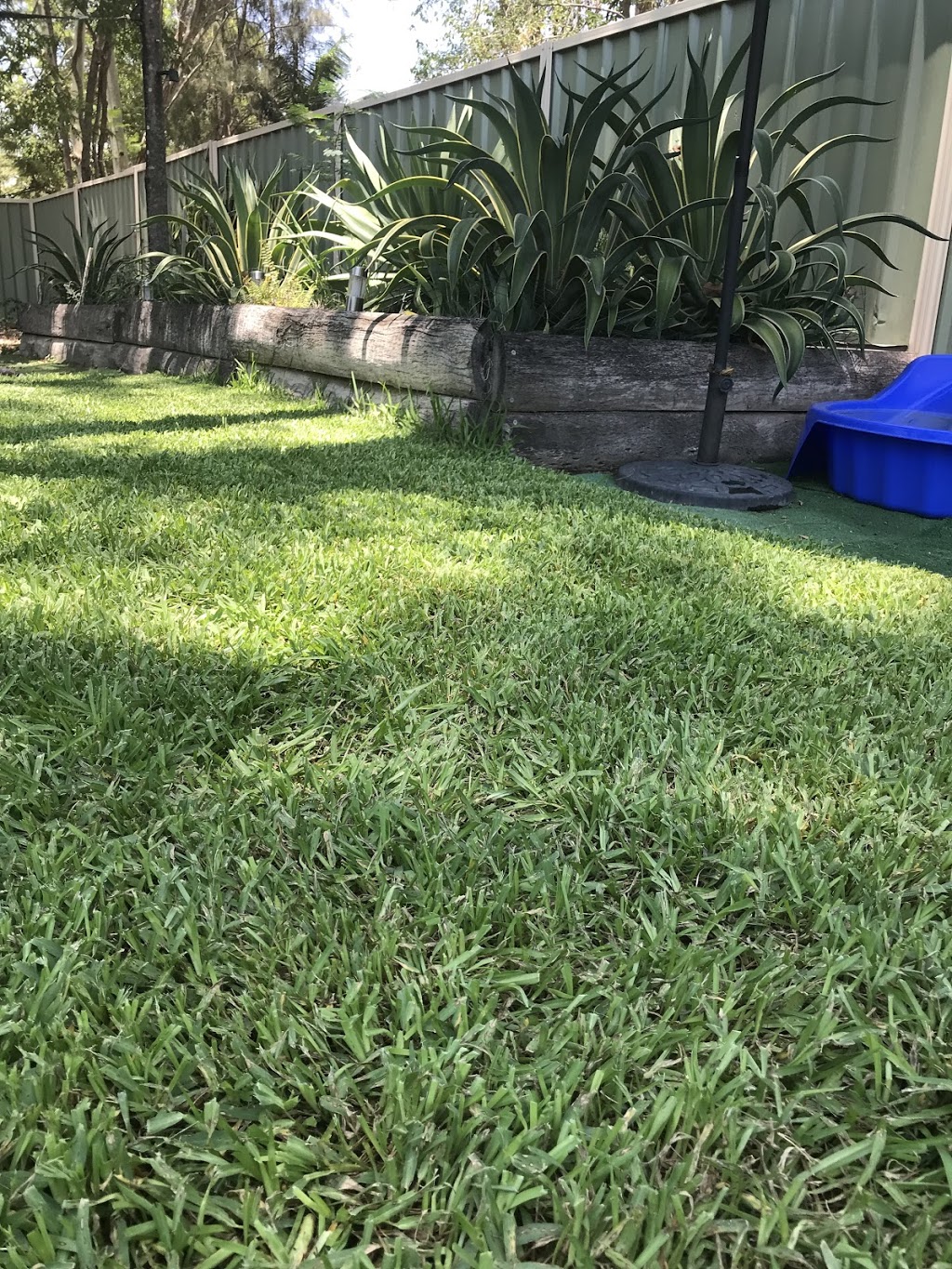 Turfworks Group (Bay Turf Gladstone) | general contractor | Spring Valley Rd, West Stowe QLD 4680, Australia | 0749736363 OR +61 7 4973 6363