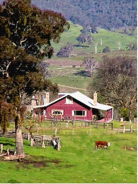 Buchan Farmhouse Accommodation | lodging | 51 Old Basin Rd, Buchan VIC 3885, Australia | 0351559394 OR +61 3 5155 9394
