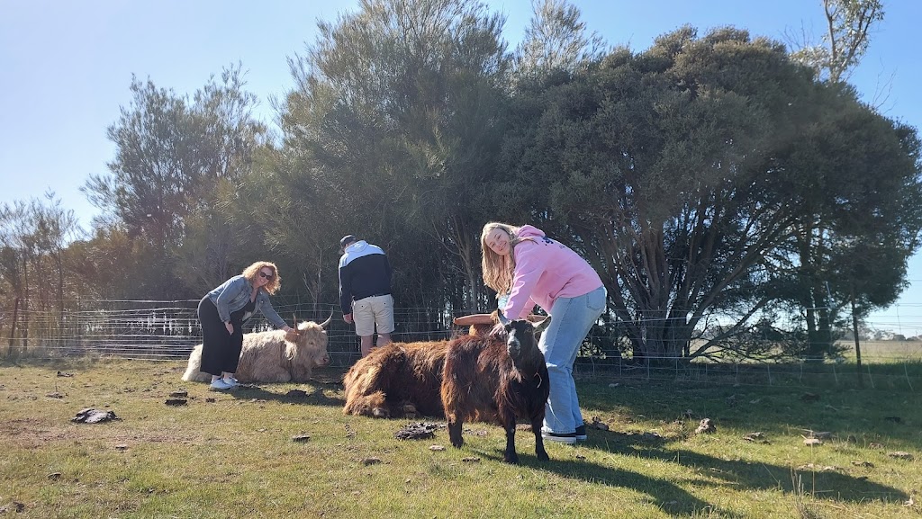 Point Little Farm | 687 Echuca West School Rd, Echuca West VIC 3564, Australia | Phone: 0407 703 198