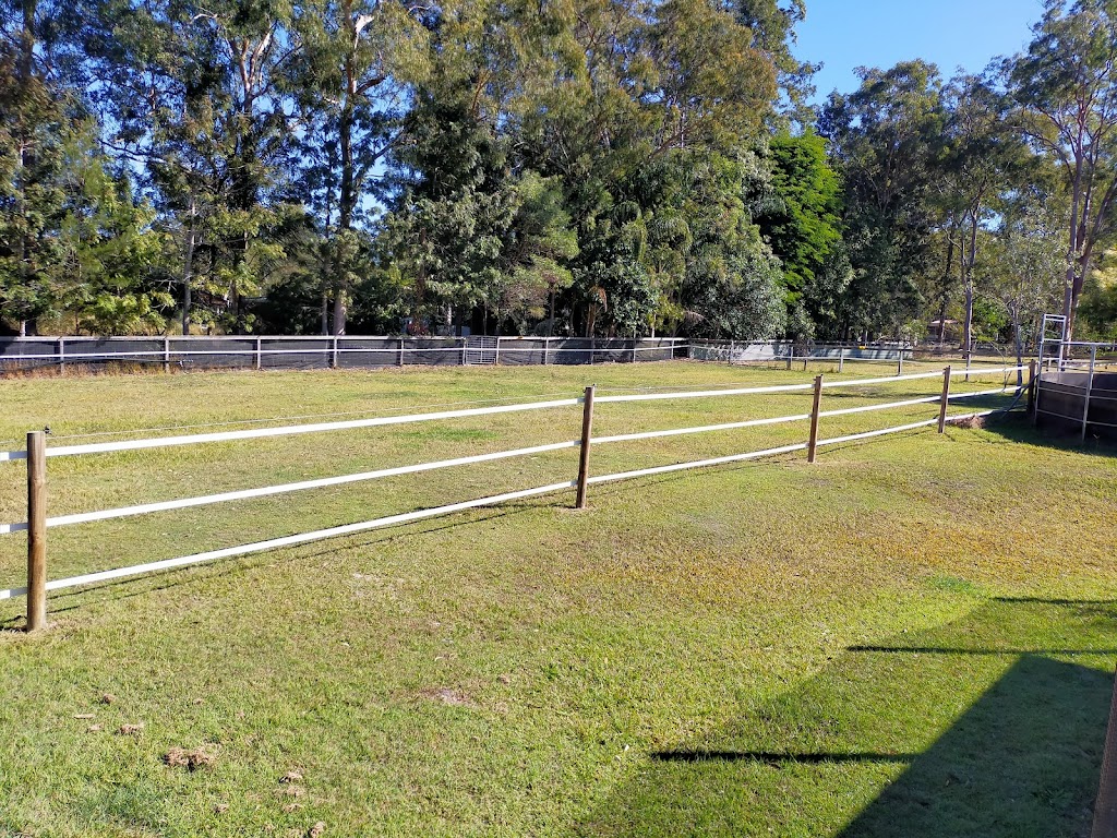 Zamunda Park Equine Services | 967 Stockleigh Rd, Stockleigh QLD 4280, Australia | Phone: 0427 166 164 Zamunda Park Equine Services | 967 Stockleigh Rd, Stockleigh QLD 4280, Australia | Phone: 0427 166 164