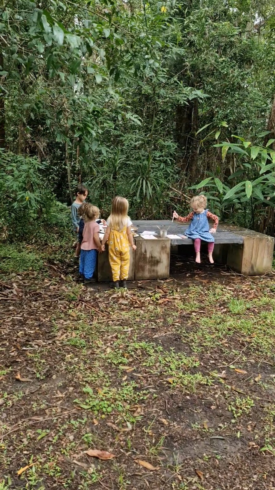 Bushling Nature Play | 167 North Rd, Lower Beechmont QLD 4211, Australia | Phone: 0450 335 628