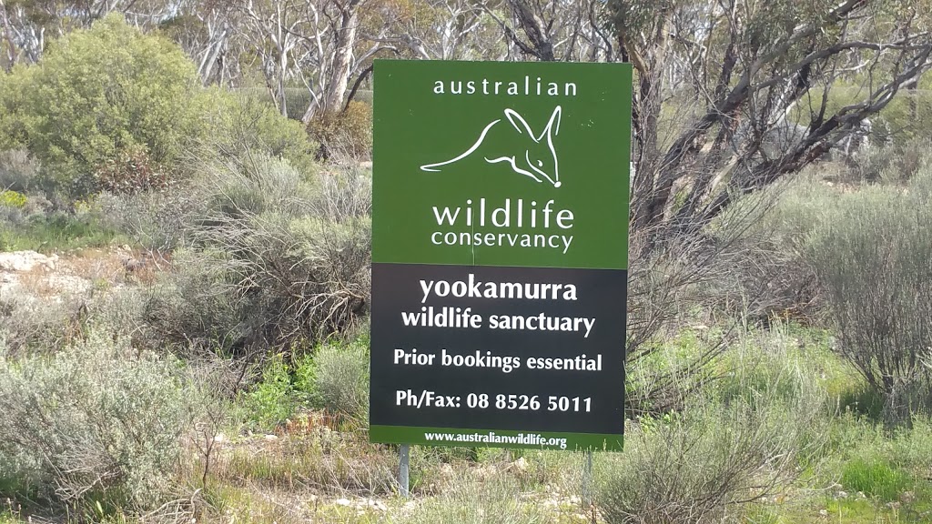 Yookamurra Sanctuary | park | 745 Yookamurra Rd, Fisher SA 5354, Australia