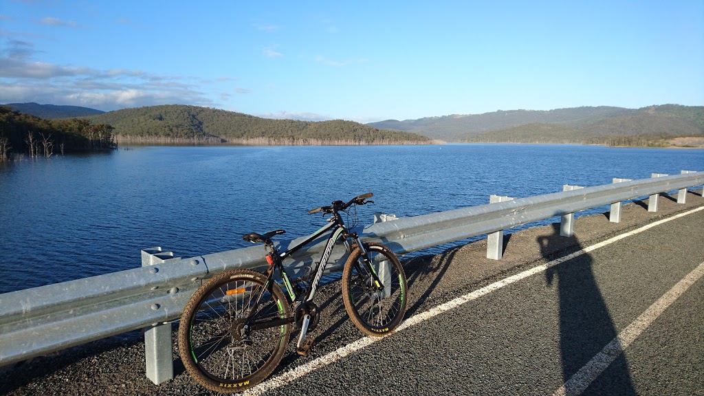The Peter Hallinan Mountain Bike Precinct | Advancetown QLD 4211, Australia