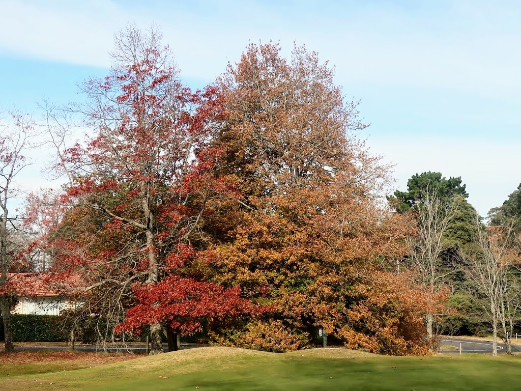 Leura Golf Club | restaurant | 1 Sublime Point Rd, Leura NSW 2780, Australia | 0247850035 OR +61 2 4785 0035