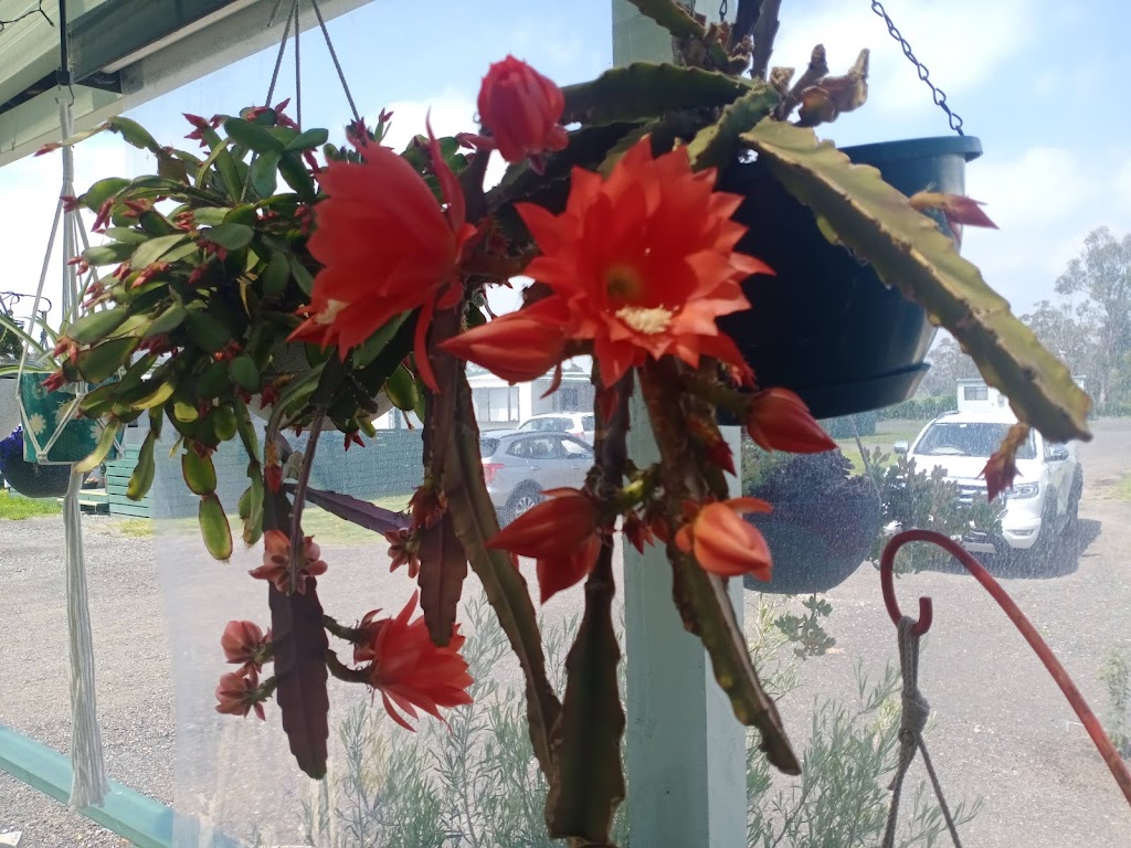 Settlers Rest Caravan Park | 111 Morrison Rd, Longwarry North VIC 3816, Australia | Phone: 0435 941 112