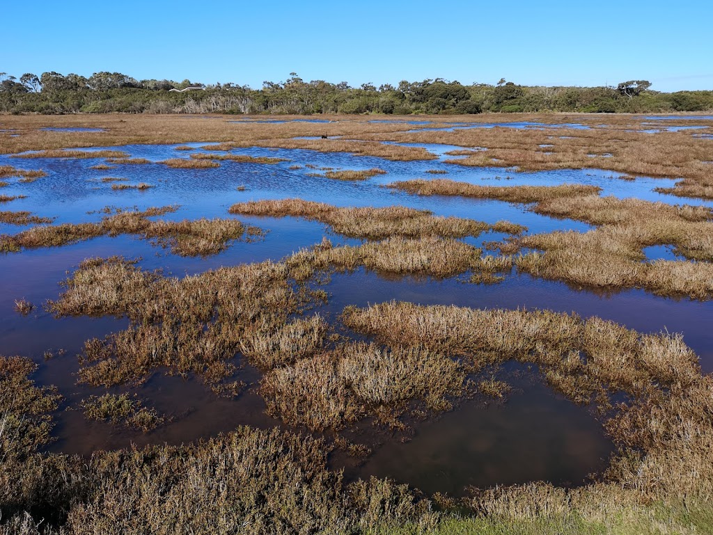 Fisher’s Wetland | Samuel Amess Dr, Newhaven VIC 3925, Australia | Phone: 1300 366 422