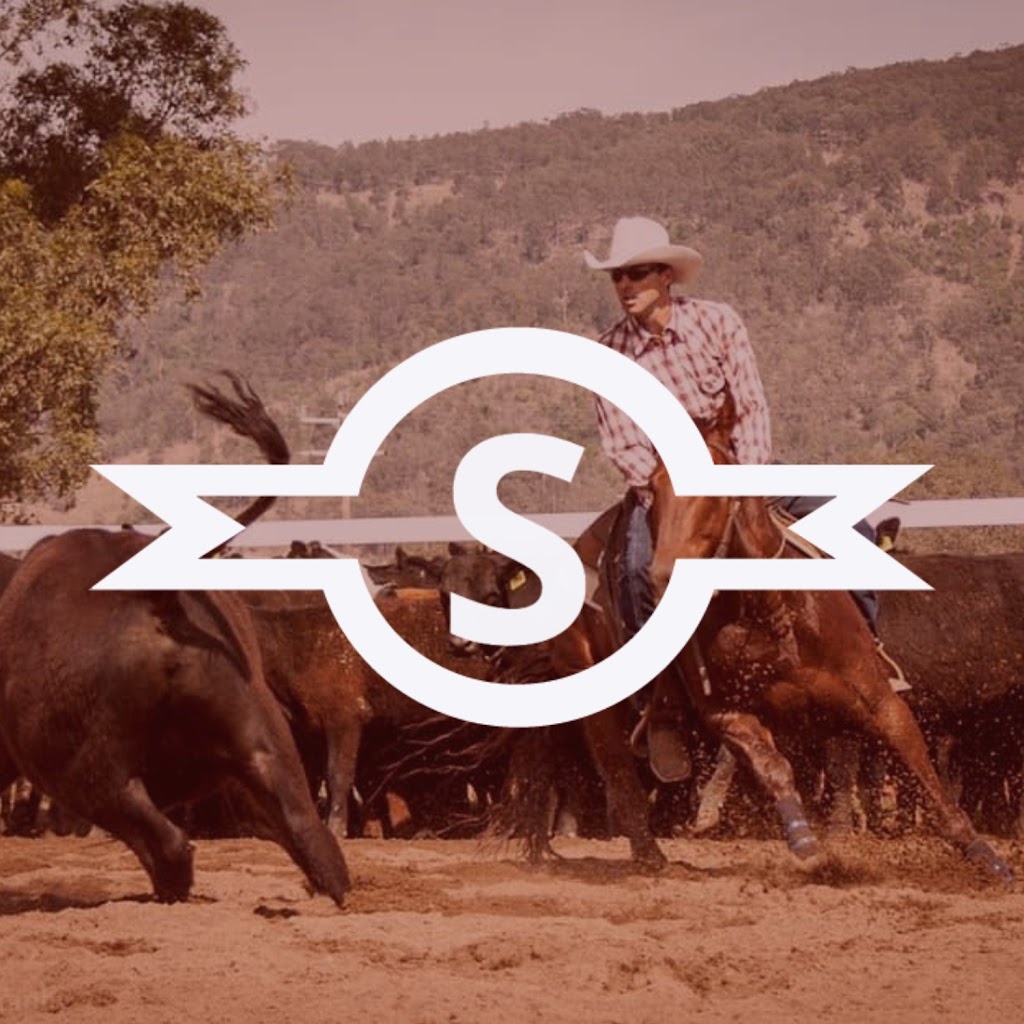 Sunhill Stud | 386 Ferndale Rd, Yarrawa NSW 2328, Australia | Phone: 0428 610 105