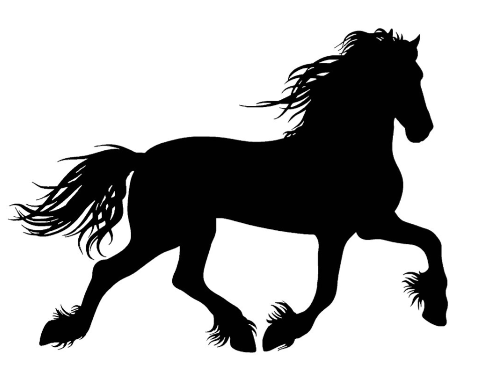 Black Horse Equine Assisted Learning | Bairnsdale School Rd, Yorklea NSW 2470, Australia | Phone: 0419 093 445