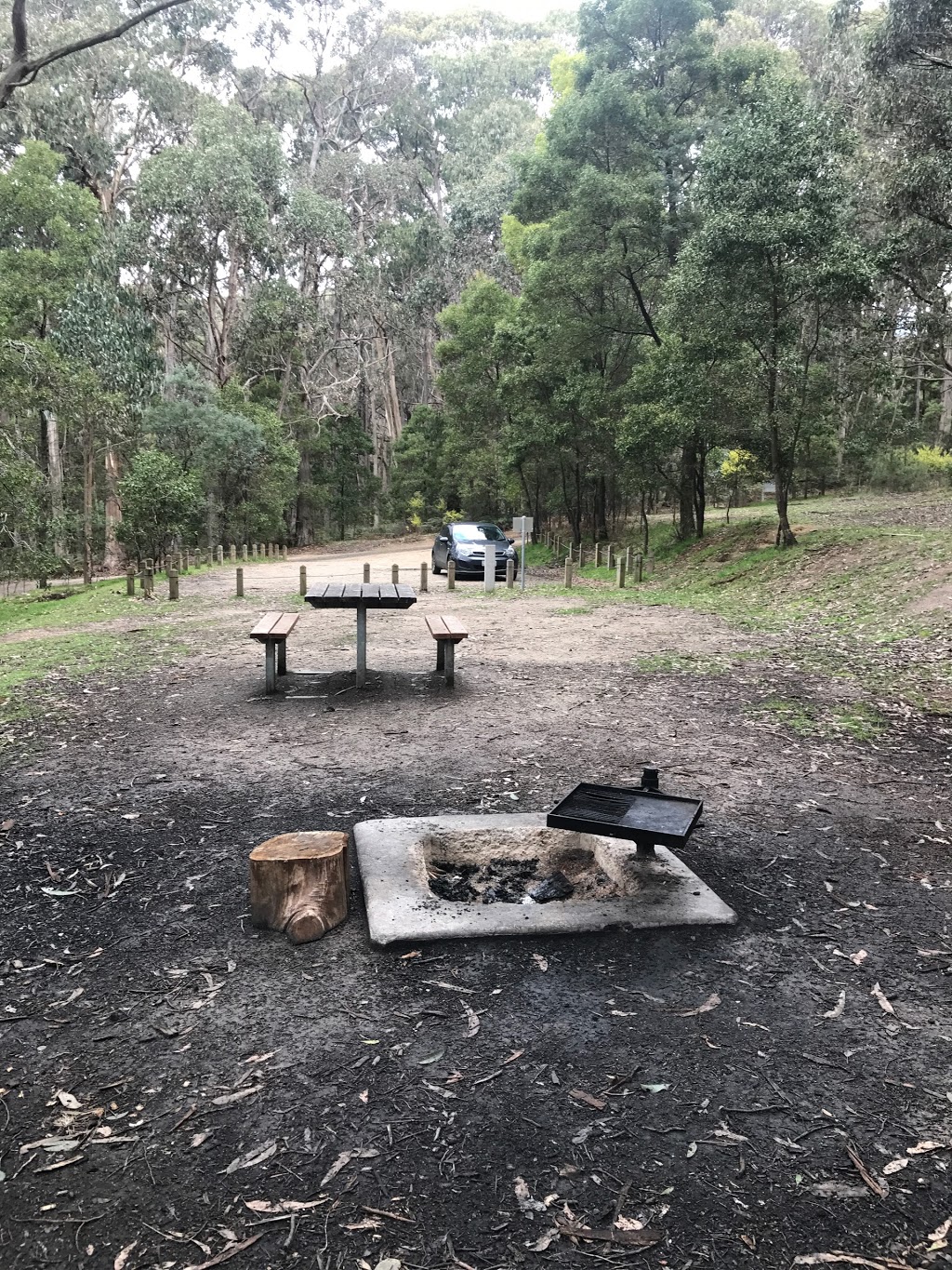 Freemans Camp and Picnic Area (Tallarook State Forest) | campground | Tallarook VIC 3659, Australia