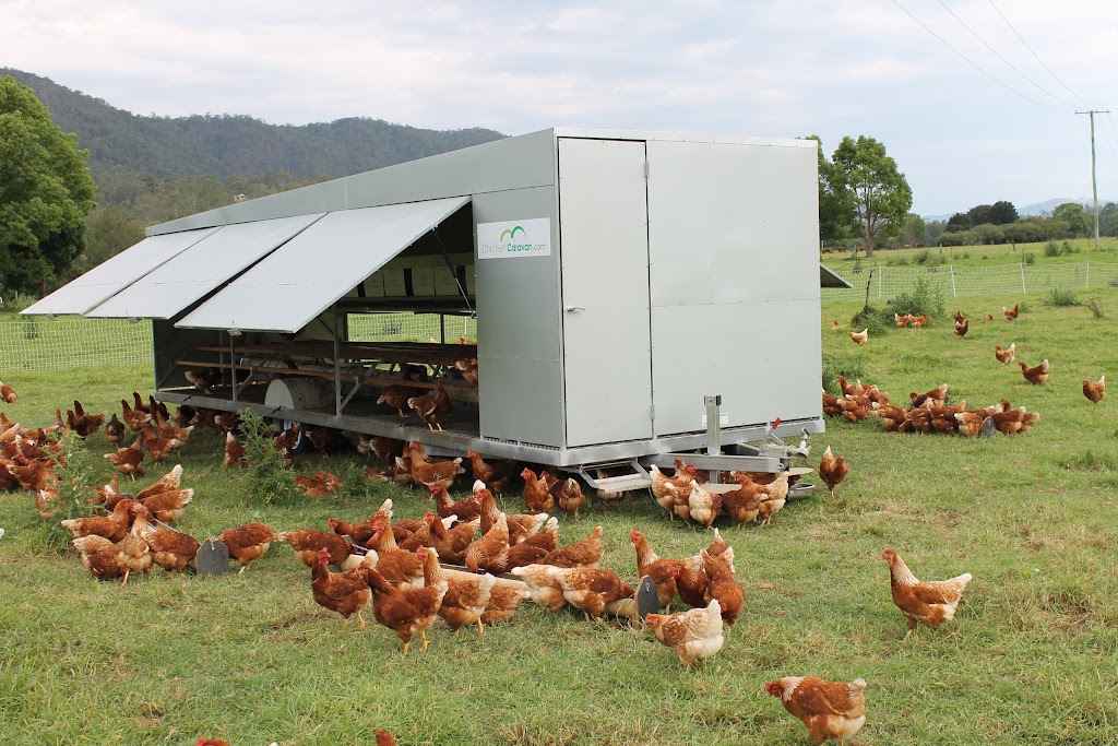 Chicken Caravan | general contractor | 16 Lindfield Park Rd, Port Macquarie NSW 2444, Australia | 1300655735 OR +61 1300 655 735