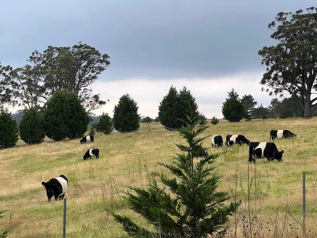 Southern Highlands Addiction Rehab | 2261 Tugalong Rd, Canyonleigh NSW 2577, Australia | Phone: 0485 880 816