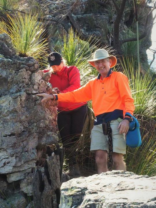 Springbrook Pinnacle | park | Springbrook QLD 4213, Australia