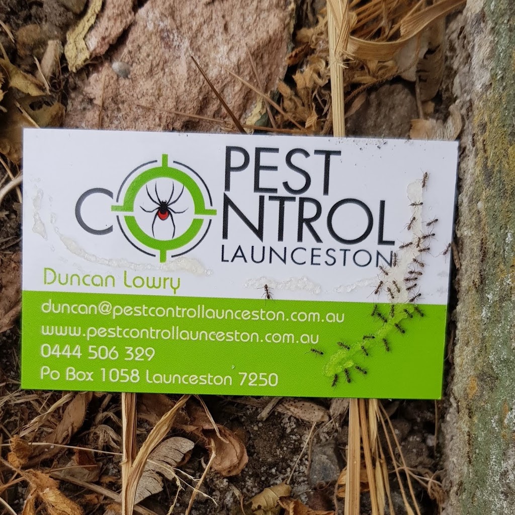 Pest Control Launceston | 1 Bank St, Mowbray TAS 7248, Australia | Phone: 0419 373 845