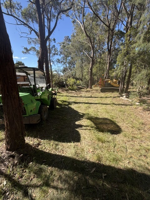 Canopy Lift contracting | 210 Railway Parade, Balmoral NSW 2571, Australia | Phone: 0458 401 601