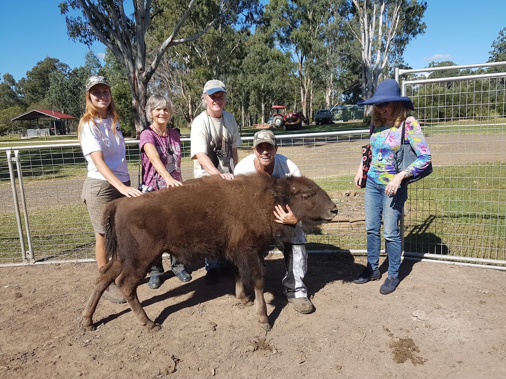 Aranyani Bison | tourist attraction | 670 Elliotts Rd, Myrtle Creek NSW 2469, Australia | 0266617866 OR +61 2 6661 7866