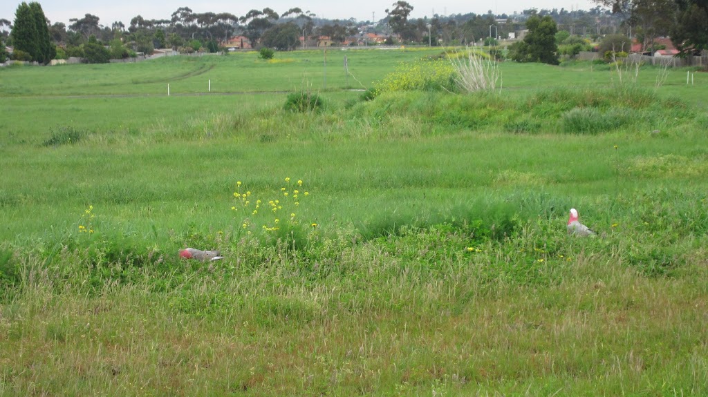 Yarrambat Park Golf Course |  | 649 Yan Yean Rd, Yarrambat VIC 3091, Australia | 0394362201 OR +61 3 9436 2201