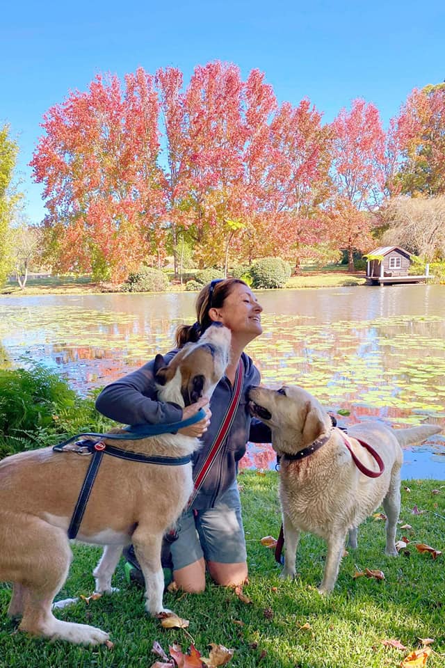 K9 Walkers | 19+ years in business, Ourimbah NSW 2258, Australia | Phone: 0418 224 692