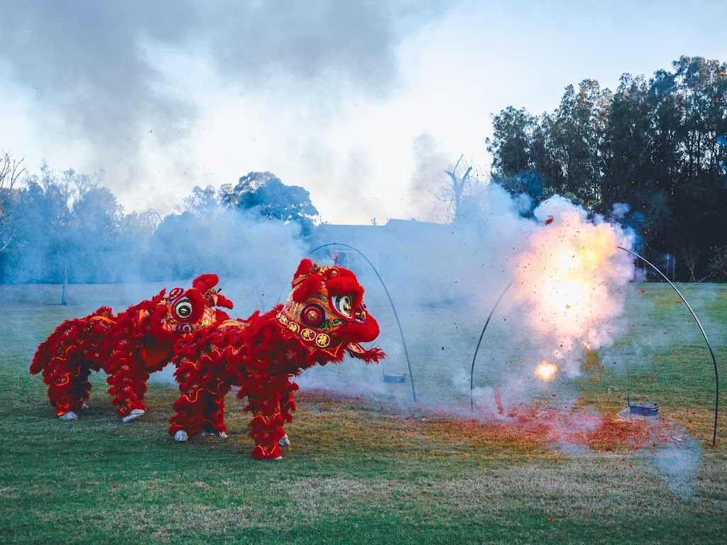 Bring the Noise Fireworks | Melody Wy, Lochinvar NSW 2321, Australia | Phone: 0420 382 041