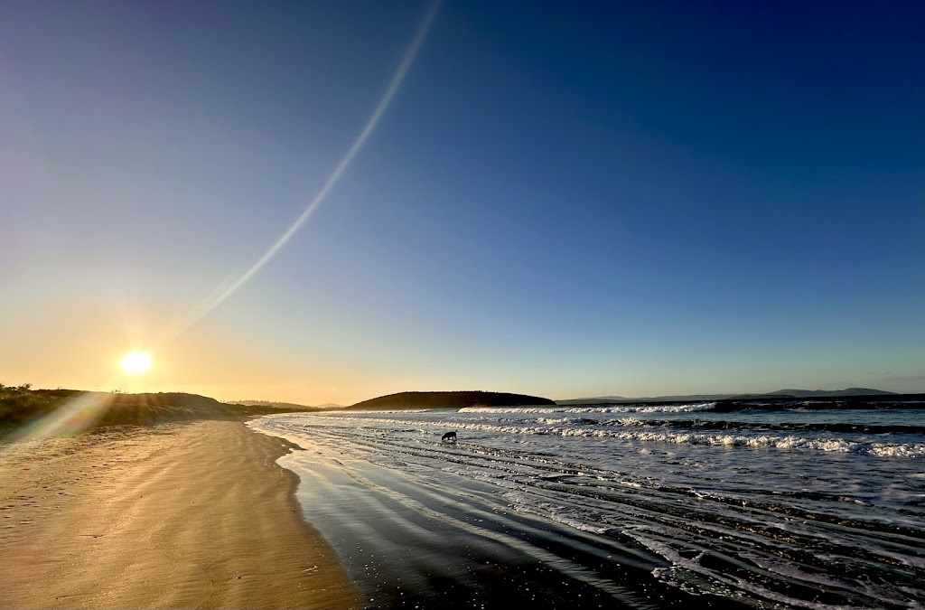 Tinker Tailor Tasmania | 147 Carlton Beach Rd, Dodges Ferry TAS 7173, Australia | Phone: 0498 768 318