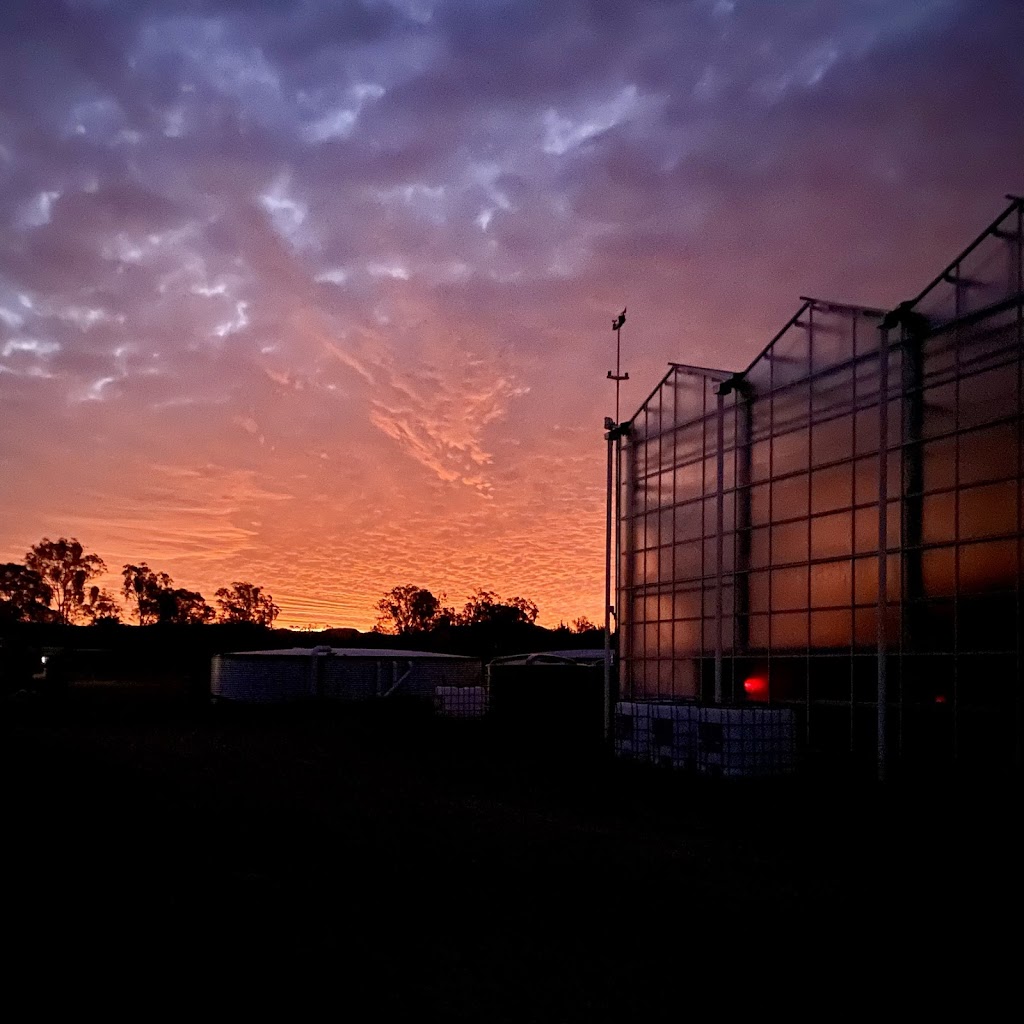 Allegro Farm | 12 Archer Rd, Spring Creek QLD 4343, Australia | Phone: 0403 245 522