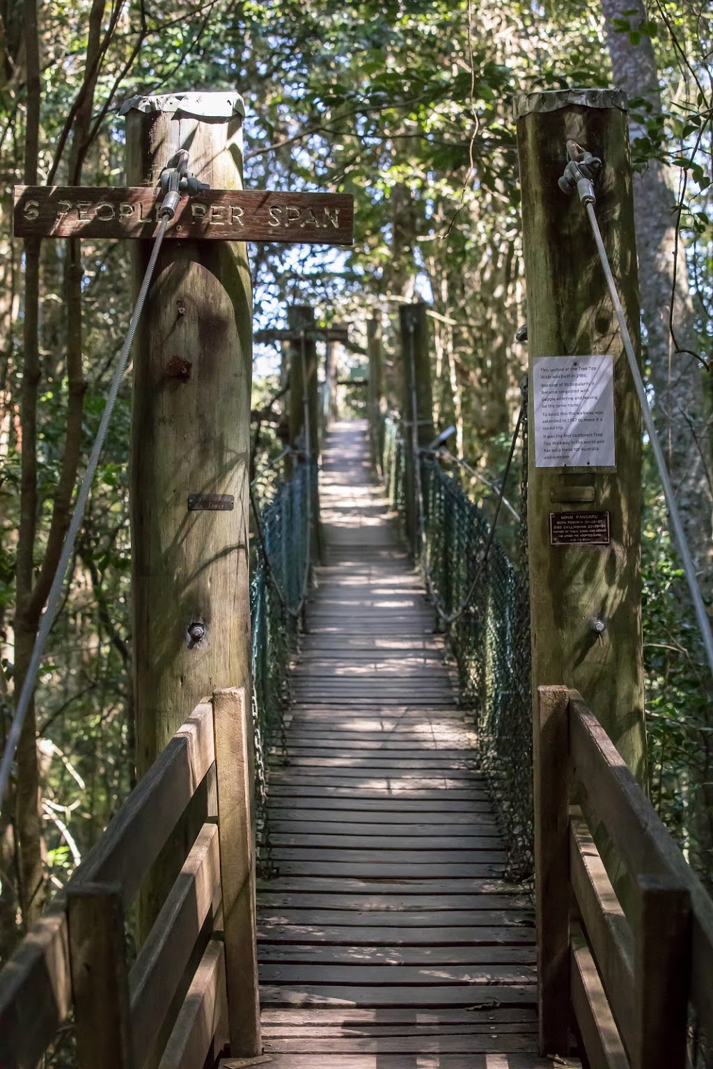 Tree Top Walkway | 3579 Lamington National Park Rd, OReilly QLD 4275, Australia