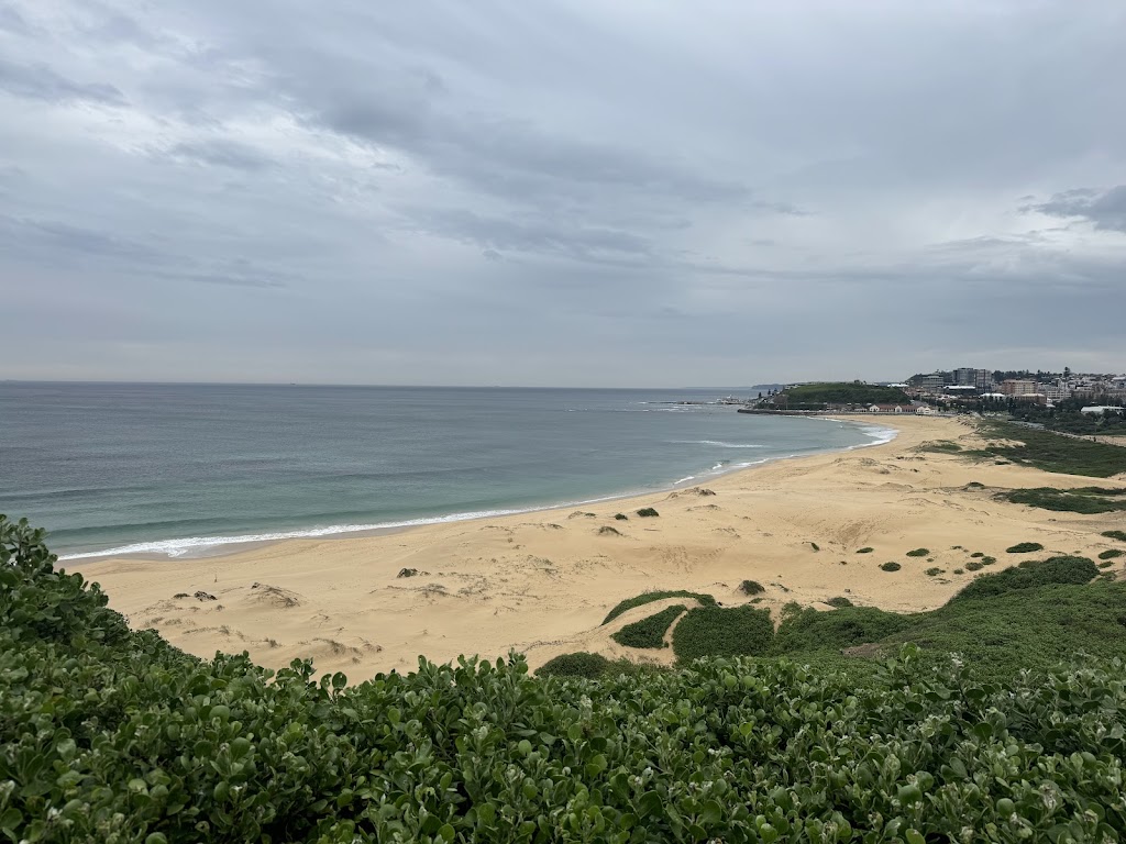 Pokolbin East Information Sign | 68FR+J8, Pokolbin NSW 2320, Australia | Phone: (02) 4993 4100