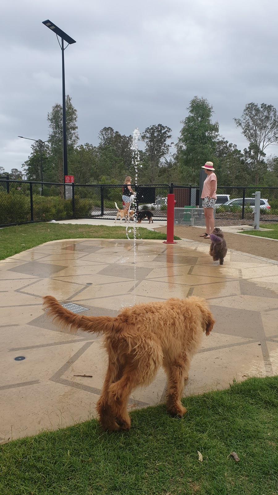 Flagstone Dog Park | park | Trailblazer Drive, Jimboomba QLD 4280, Australia