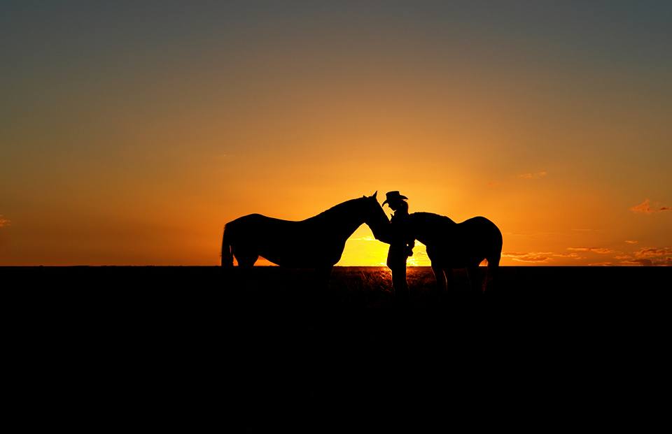 Outback Pony Rides | 27L Camp Rd, Dubbo NSW 2830, Australia | Phone: 0438 383 931