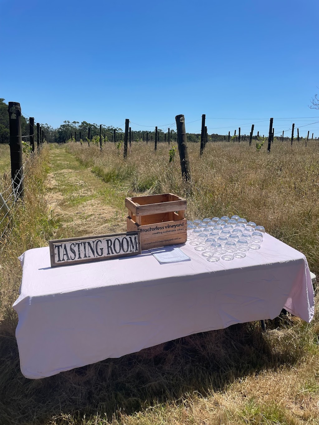 Tractorless Vineyard | 132 Compton Park Rd, Berrima NSW 2577, Australia | Phone: 0402 217 907