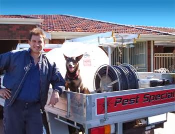 Pest Specialists Pest Management | home goods store | PO Box 327, Mirrabooka, Perth WA 6941, Australia | 0438855339 OR +61 438 855 339