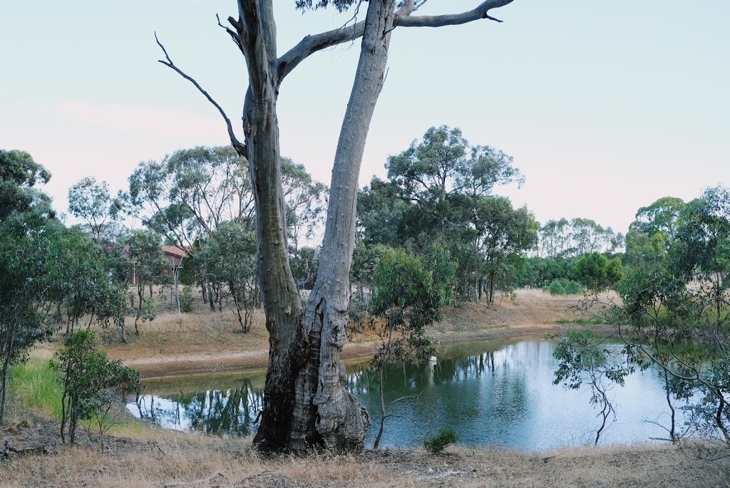 OConnie Estate | 471 Hutton Vale Rd, Angaston SA 5353, Australia | Phone: (08) 8563 9096