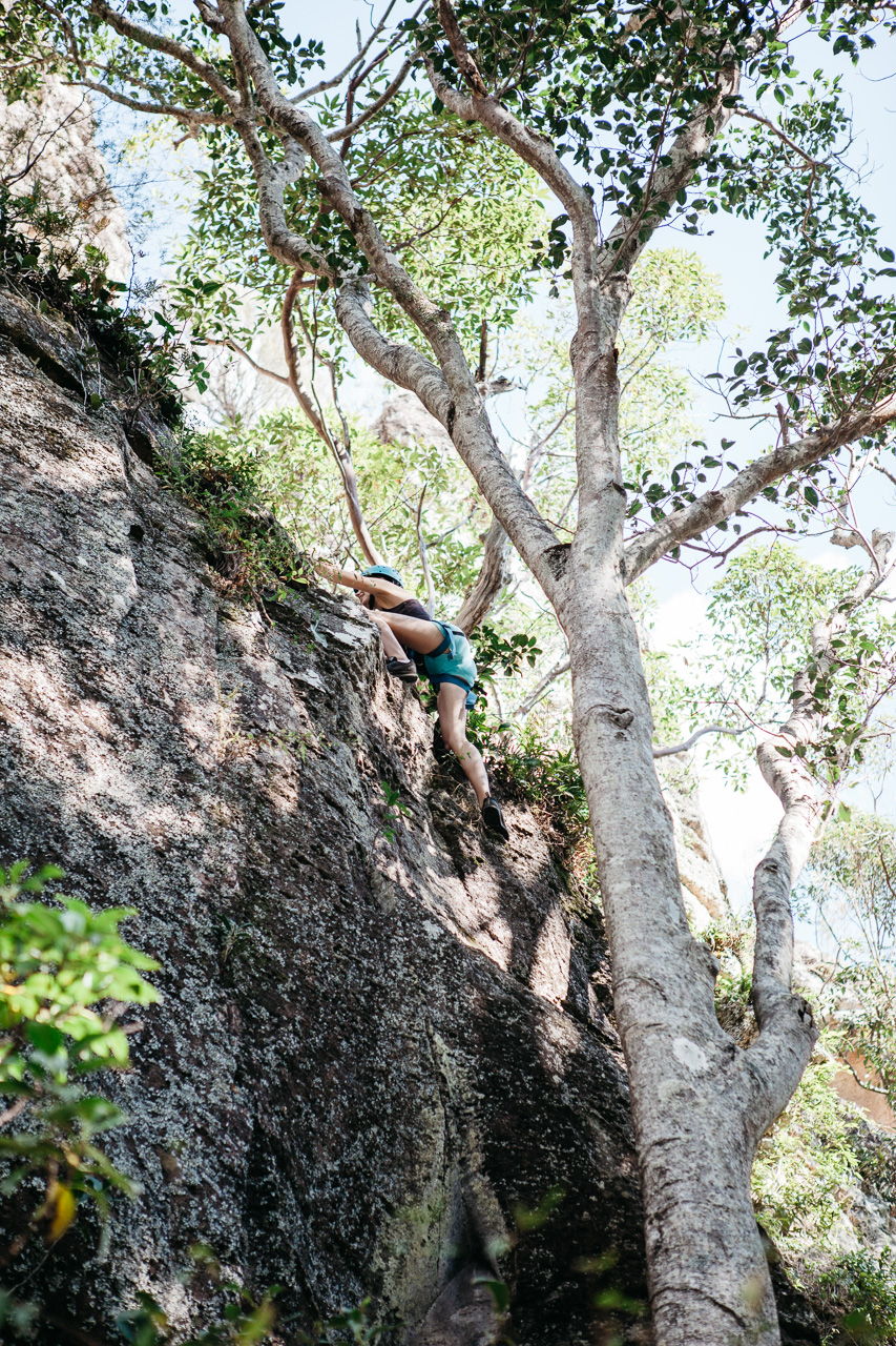 Applied Adventure Pty Ltd | 2805 Nerang Murwillumbah Rd, Binna Burra QLD 4211, Australia | Phone: 0427 740 642