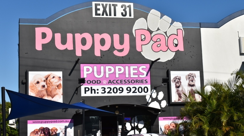 Puppy Pad | pet store | 4069 Pacific Hwy, Loganholme QLD 4129, Australia | 0732099200 OR +61 7 3209 9200