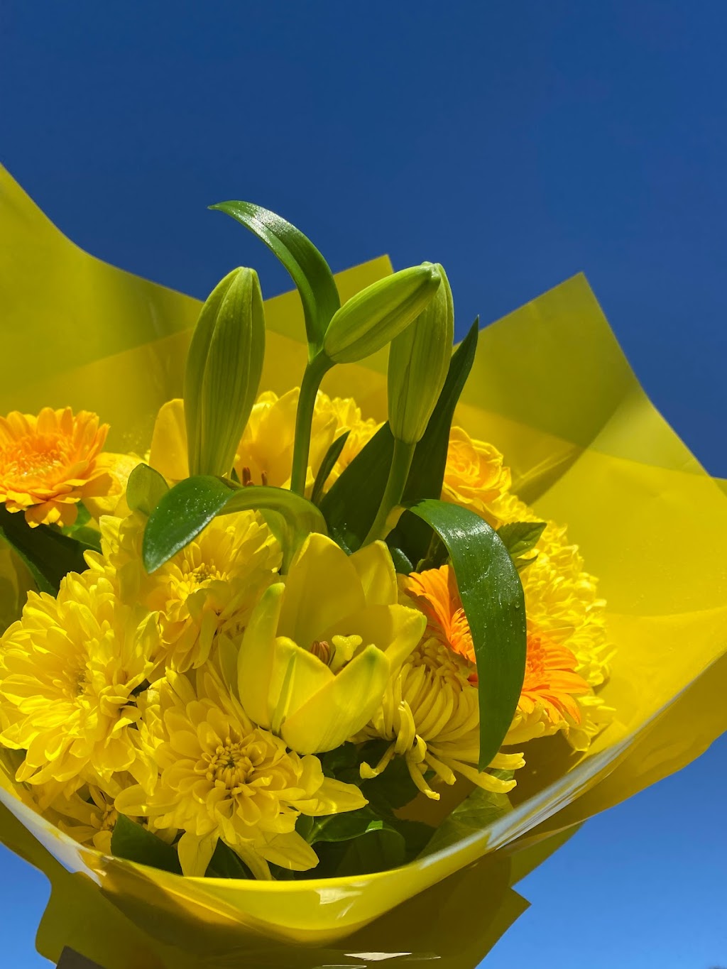 Patricias Flowers | 4 Brie Cl, Lisarow NSW 2250, Australia | Phone: 1300 887 922