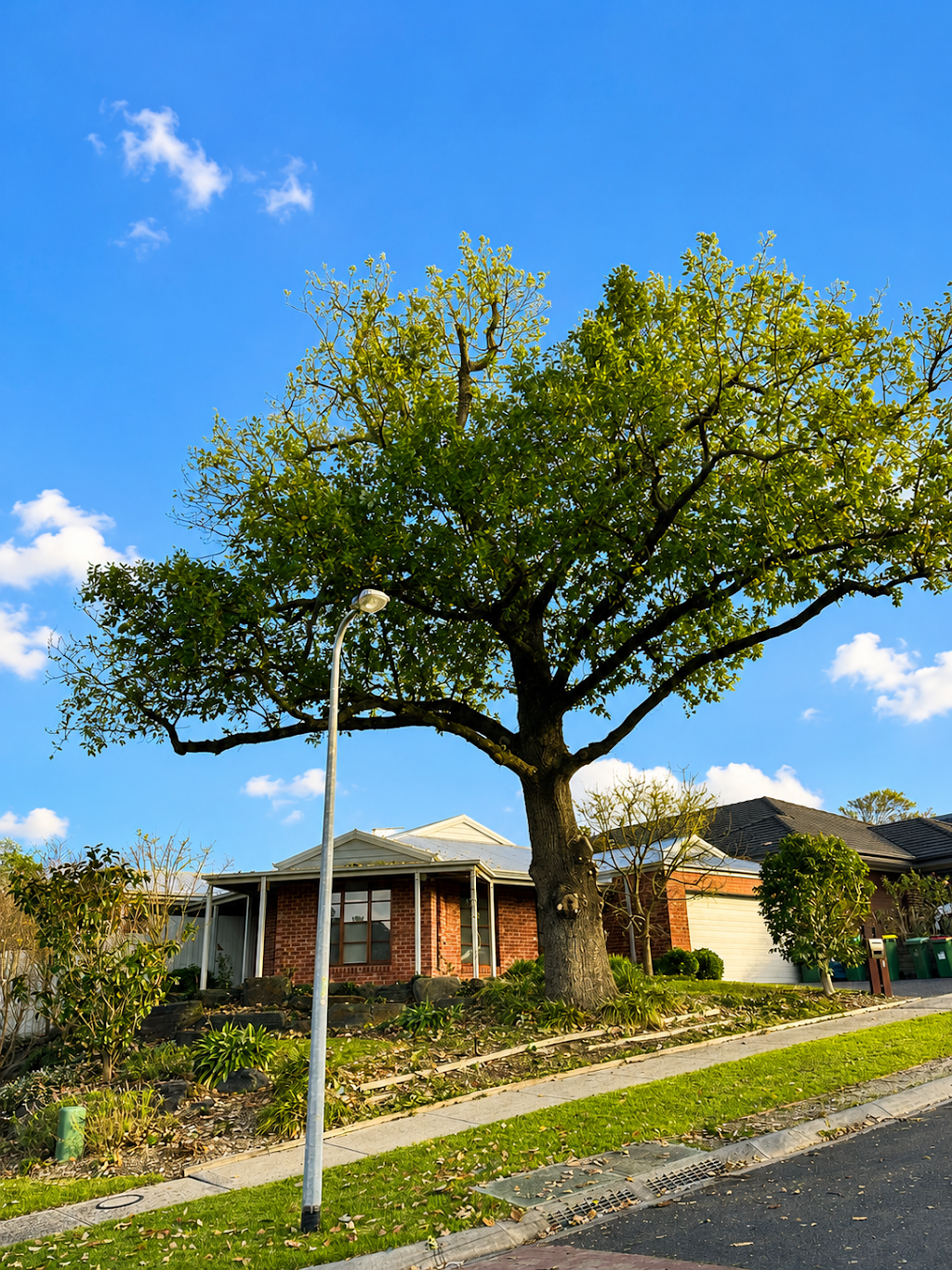 Pakenham tree services | Bate Cl, Pakenham VIC 3810, Australia | Phone: 0474 762 445