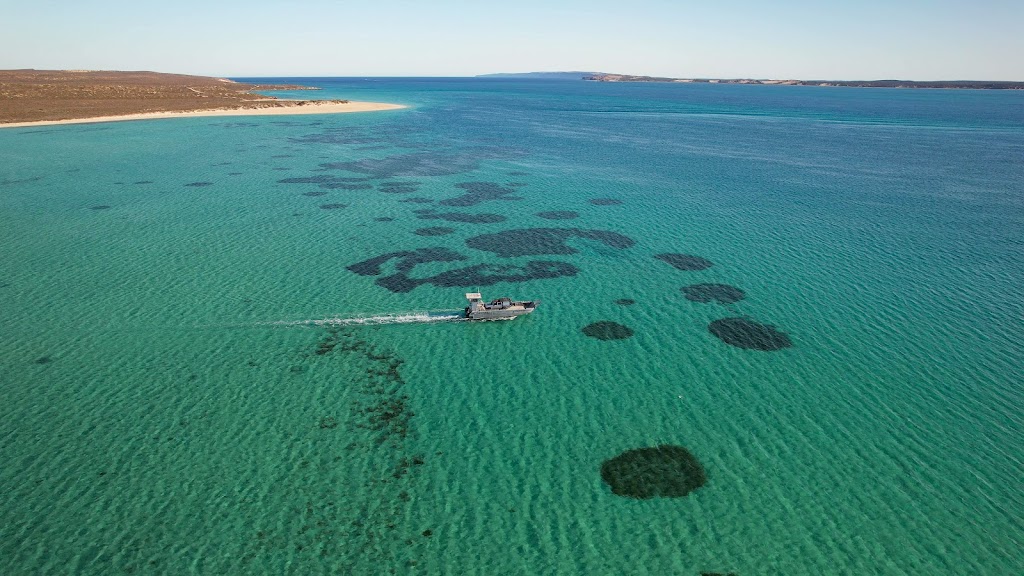 Dirk Hartog Island 4WD Barge Ferry | 62 Dirk Hartog Island Drive, Dirk Hartog Island WA 6537, Australia | Phone: (08) 9948 1211