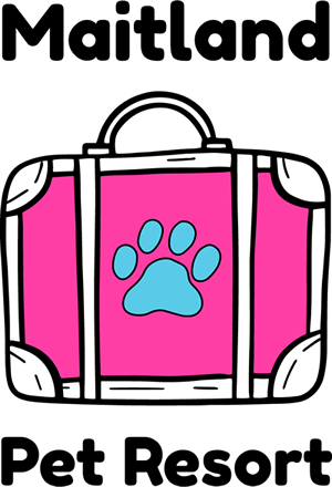 Maitland Pet Resort | 138 Cessnock Rd, Maitland NSW 2320, Australia | Phone: (02) 4909 4888