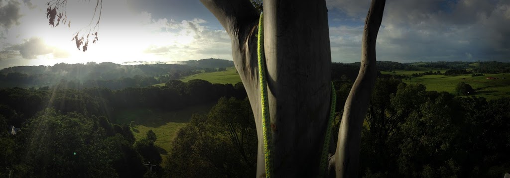 Sentinel Tree Care Pty Ltd |  | 203 Coolamon Scenic Dr, Coorabell NSW 2479, Australia | 0266847737 OR +61 2 6684 7737