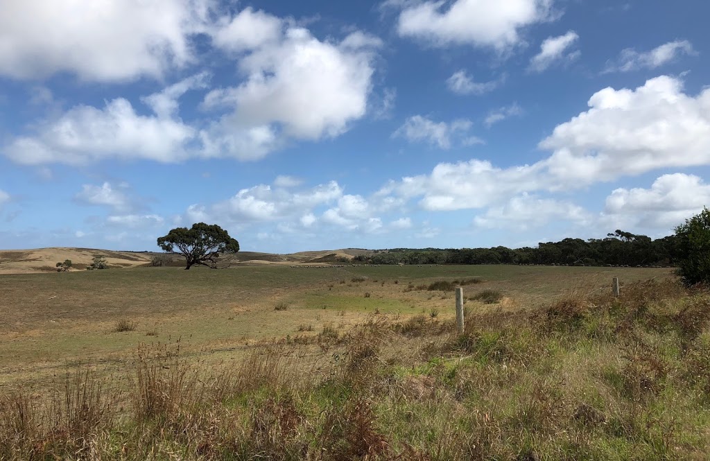 Mount Richmond National Park | park | Victoria 3305, Australia