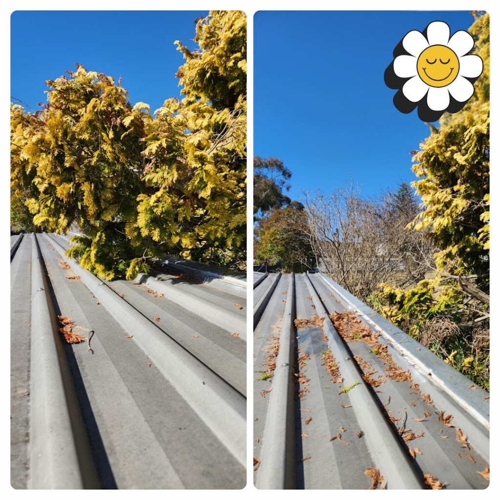 Pine View Gardens | 10 Railway Ave, Portland NSW 2847, Australia | Phone: 0488 005 597 Pine View Gardens | 10 Railway Ave, Portland NSW 2847, Australia | Phone: 0488 005 597