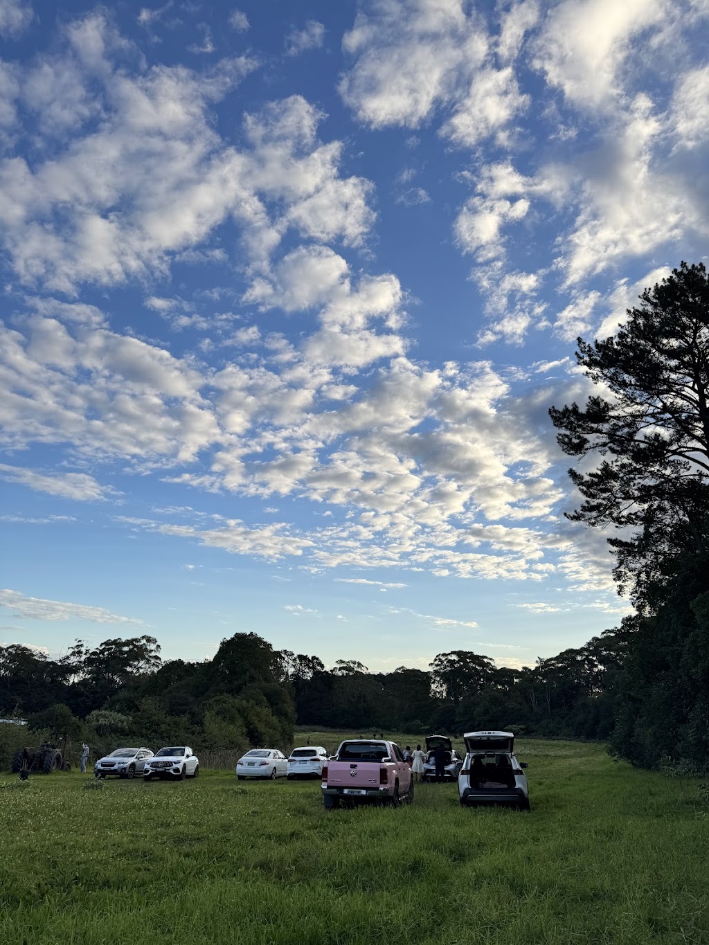 The Bloom Barn Farm | 1154 Peats Ridge Rd, Peats Ridge NSW 2250, Australia | Phone: 0455 246 789