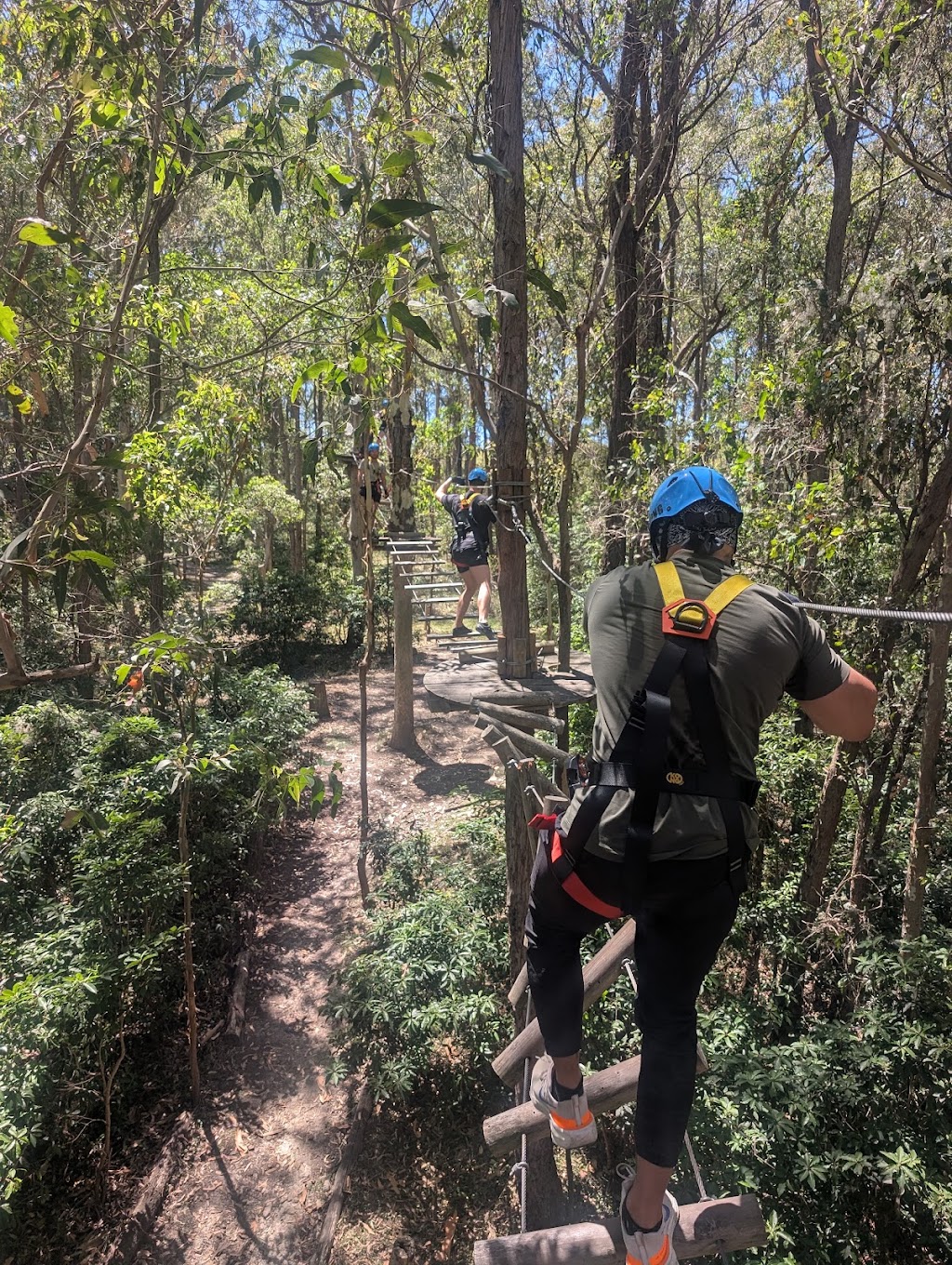 WildNets Adventure Newcastle - Previously TreeTops | Treetops Rd, Minmi NSW 2287, Australia | Phone: 0435 422 447