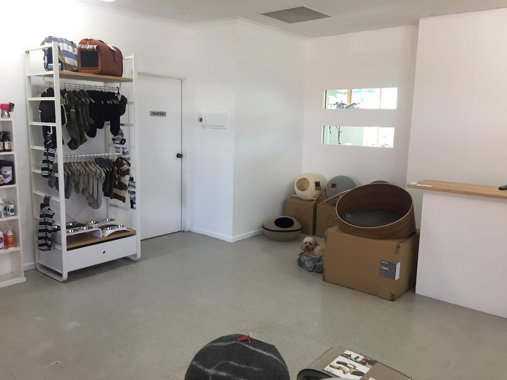 Canberra Pet Stylists | pet store | 2/7 Jeffries St, Gowrie ACT 2904, Australia | 0262920888 OR +61 2 6292 0888