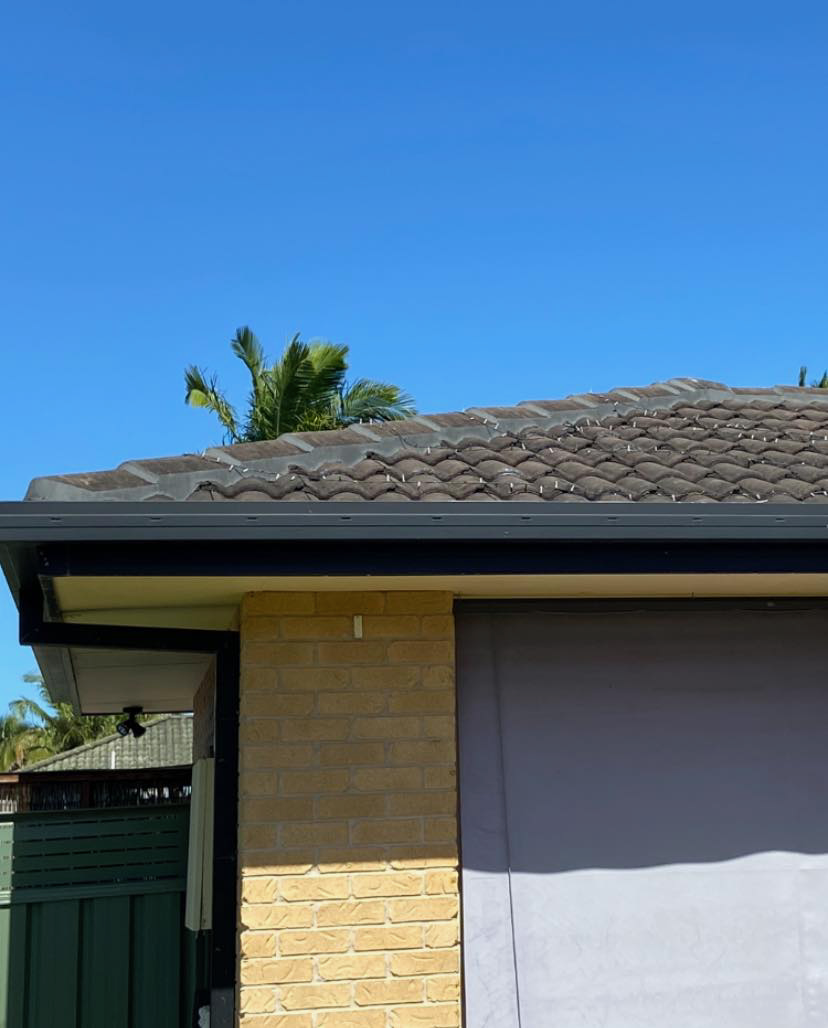 Shanes Roofing Pty Ltd | 177 Old King Creek Rd, King Creek NSW 2446, Australia | Phone: 0407 243 641