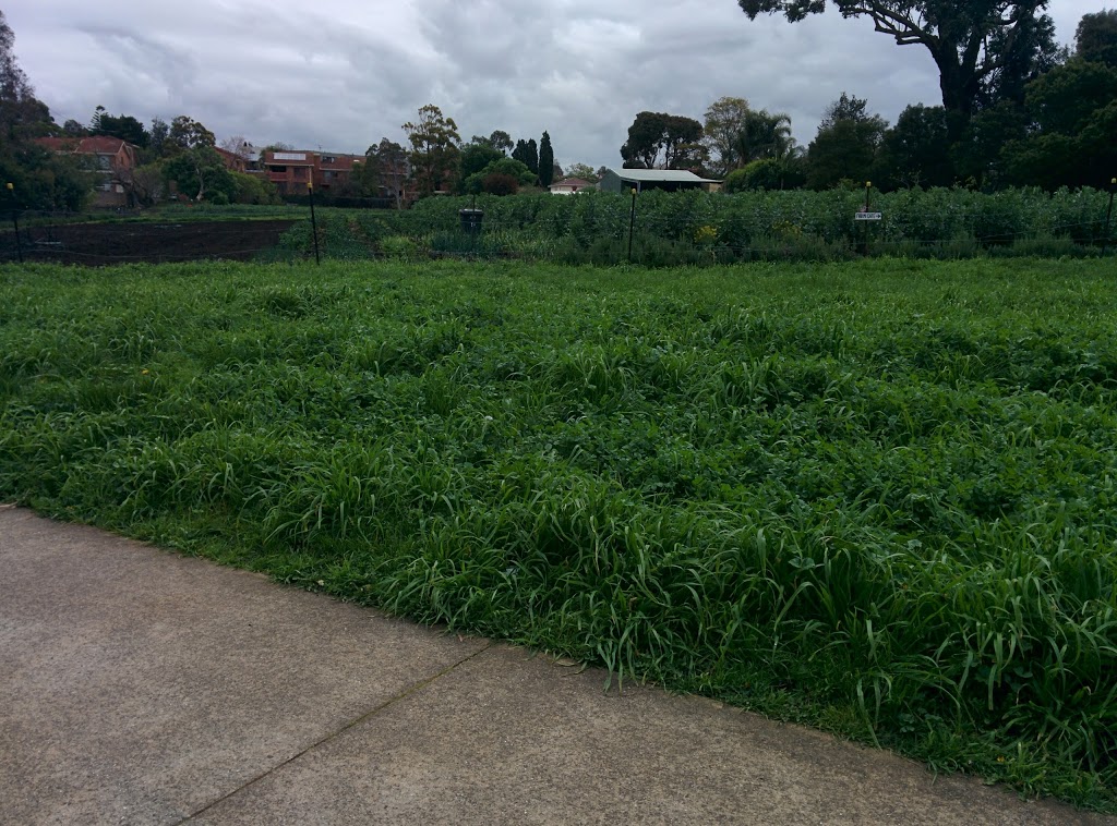 Merri Creek Market Garden | park | Merri Creek Trail, Brunswick East VIC 3057, Australia | 0393890100 OR +61 3 9389 0100