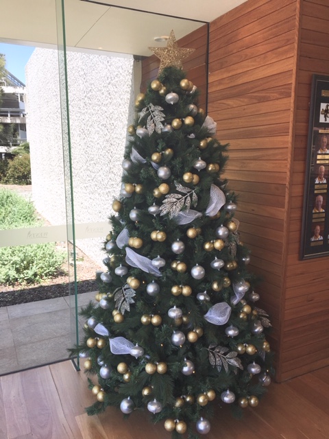 Christmas Tree Hire | store | Unit 11/103 Stenhouse Dr, Cameron Park NSW 2285, Australia | 1800601334 OR +61 1800 601 334