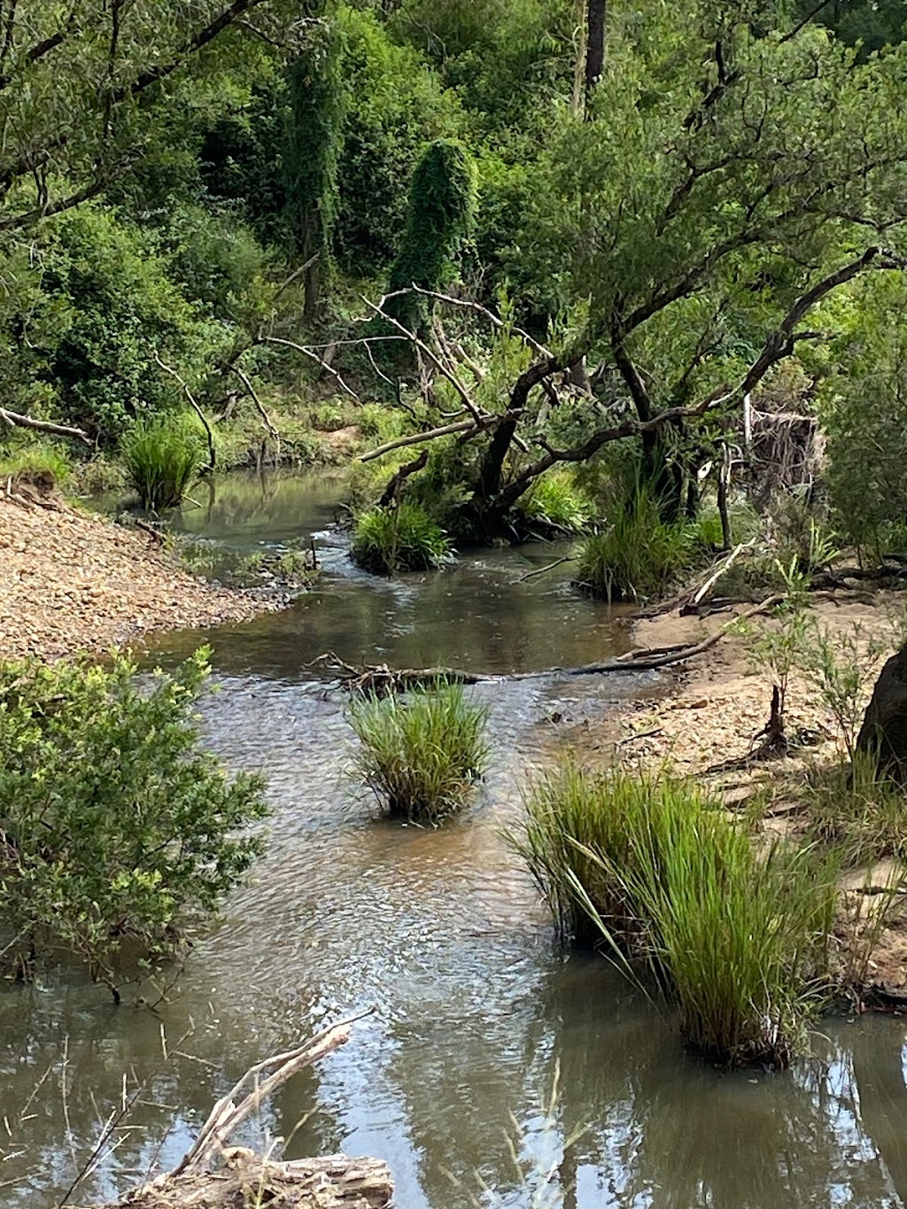 Platypus Point | Platypus Point, 6054 Bruxner Hwy, Tabulam NSW 2469, Australia | Phone: 0412 130 794