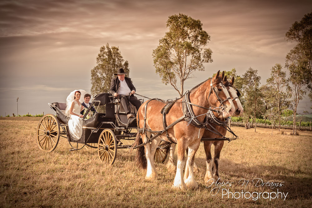Hopes N Dreams Photography | 7 Ruston Ave, Valentine NSW 2280, Australia | Phone: 0418 754 555